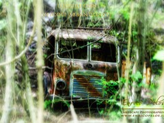 camion abbandonato nel bosco 0393 abandoned truck - ph enrico pelos